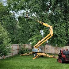 Best Aeration Services  in Duncan, SC