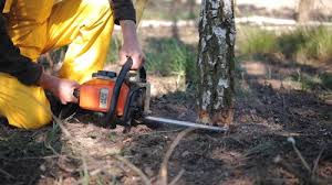 Best Pest Control for Lawns  in Duncan, SC