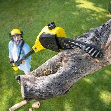 Leaf Removal in Duncan, SC