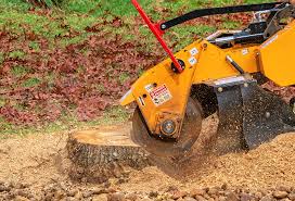 Best Tree Removal  in Duncan, SC