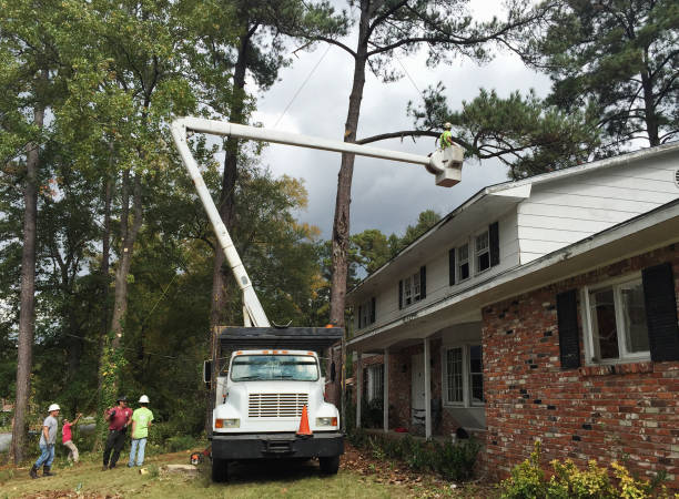 Best Tree Health Inspection  in Duncan, SC