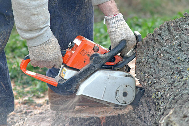 Best Lawn Mowing  in Duncan, SC
